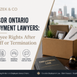 Windsor Ontario Employment Lawyers Employee Rights After a Layoff or Termination